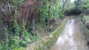An unusually pretty drainage ravine